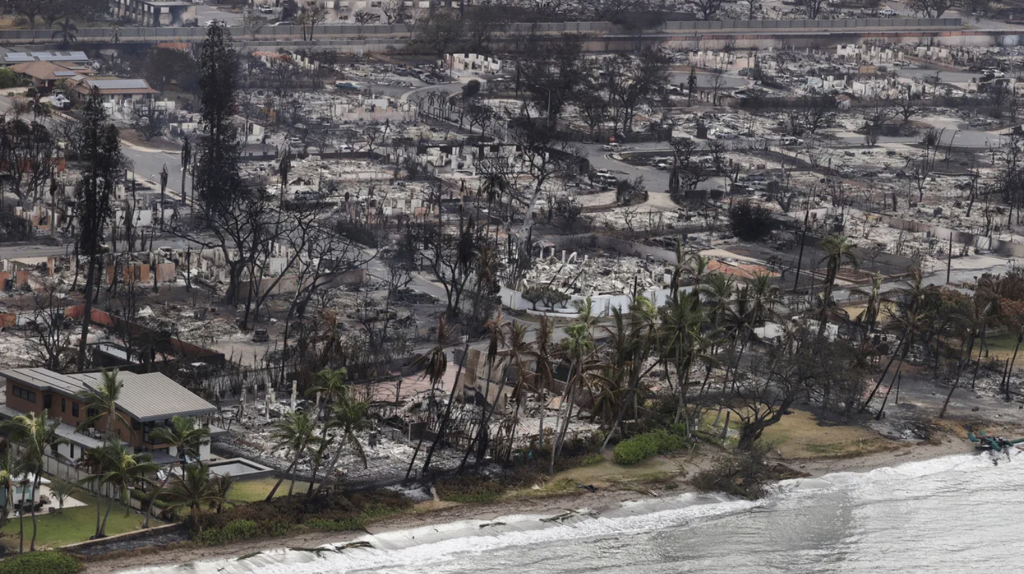 夏威夷茂宜岛野火已93死，預計損失60億 
