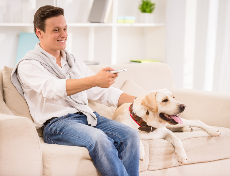 你知道狗狗最喜歡看的電視節目類別嗎？