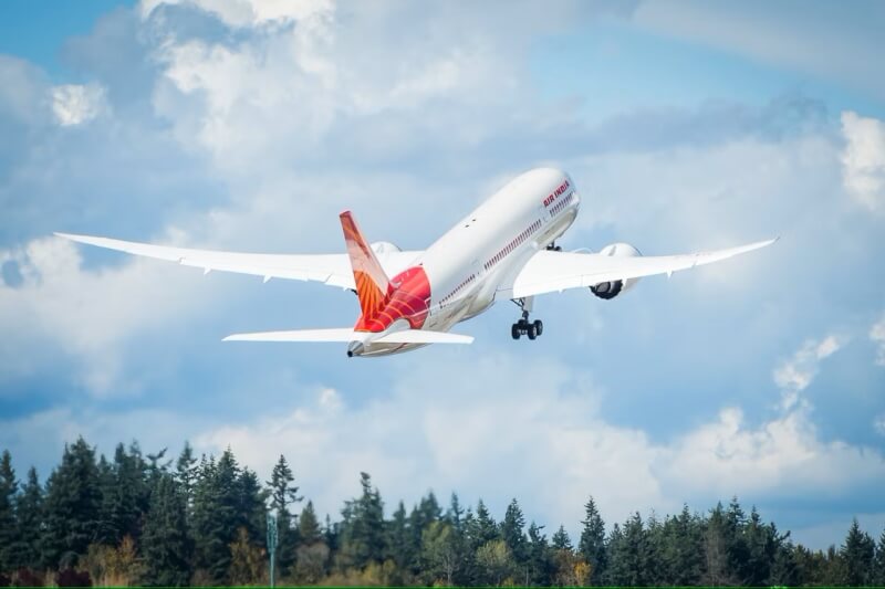 【三才新语】浴火重生──印航空难唯一生还者的象徵性解读