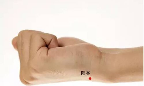 手腕上藏著個「不老穴」(圖)