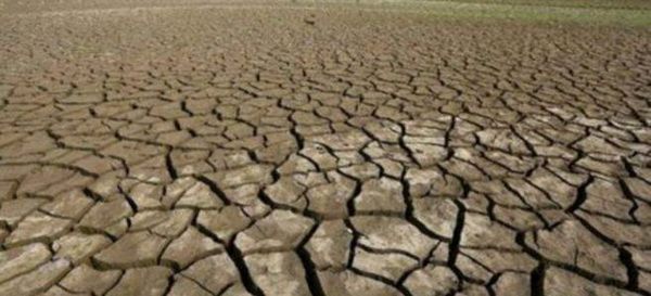 地球步入「第6次生物大灭绝时期」75％动物与人类将率先灭绝