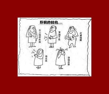 日喝兩罐糖飲 罹肝病風險增