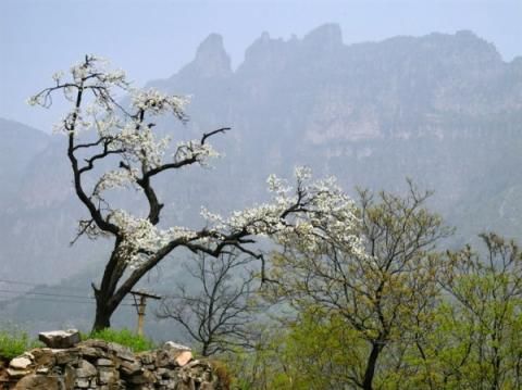 世界上最危险的村庄（组图）