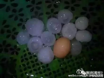 大陆江苏降“冰蛋” （组图）