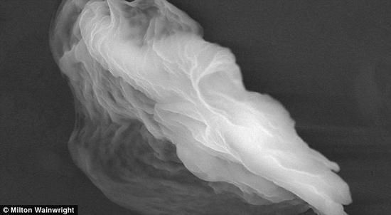 英科學家稱發現外星生命證據 距地球僅40公里