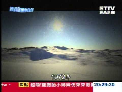 搶救小白仔 你我動手做（視頻）