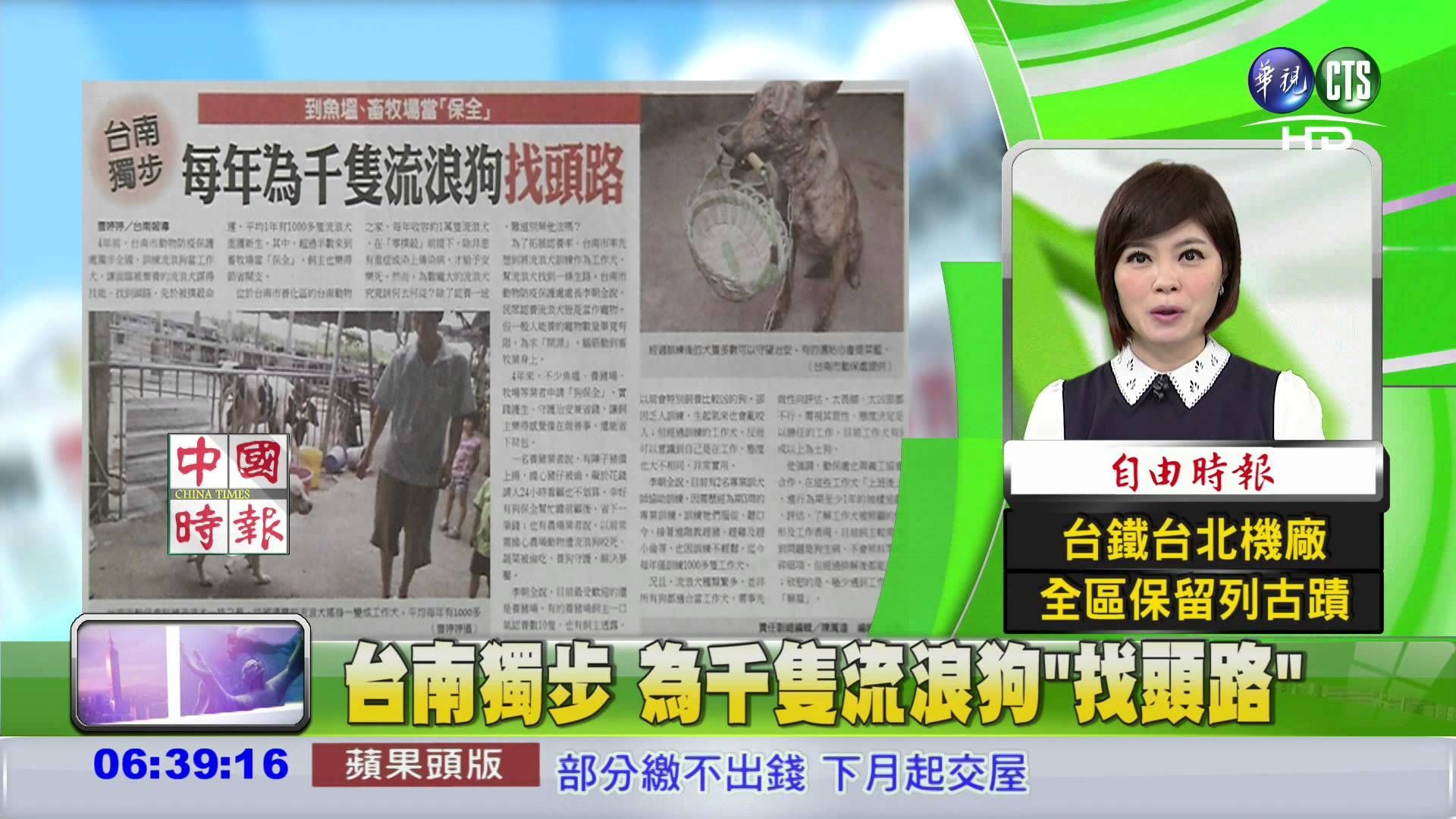 台南獨步 為千隻流浪狗"找頭路"
