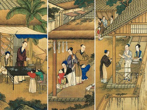 清雍正版《耕織圖》︰織圖 （組圖）