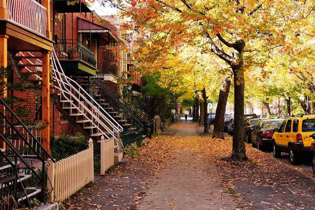 移民加拿大迎来艳阳天（图）