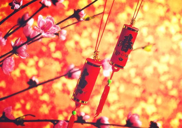 新老移民在美过年大不同（图）