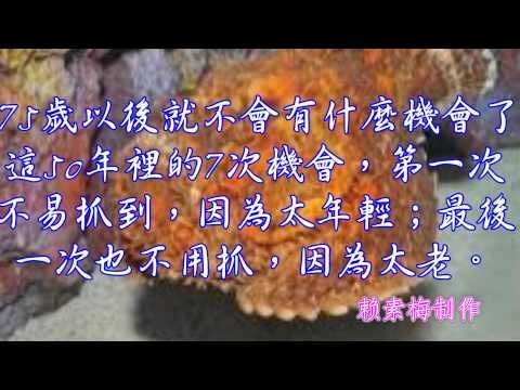 這9個小故事 勝過你今年讀過的所有書