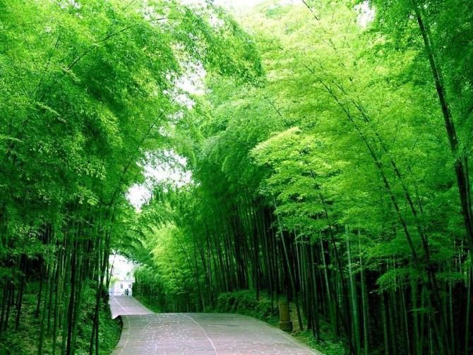 心态 命运 人生(图)