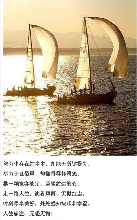 人生本过客 何必千千结(组图)