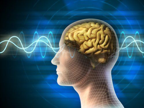 科学家证实人体特异功能存在(图)