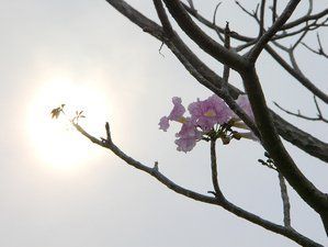 冥冥之中有定数 存亡大事早由天定(图)