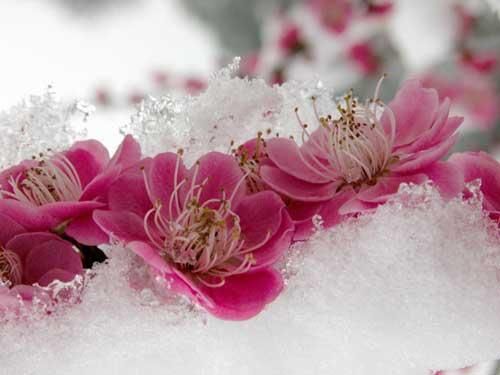 下一个拐角，遇见天使(图）