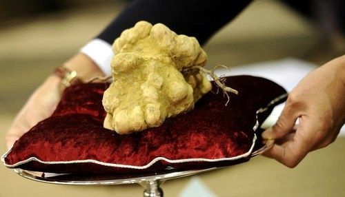 10大食物界的劳斯莱斯(组图)