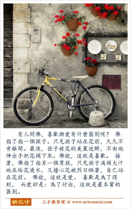 【微哲理】喜歡與愛有什麼區別呢