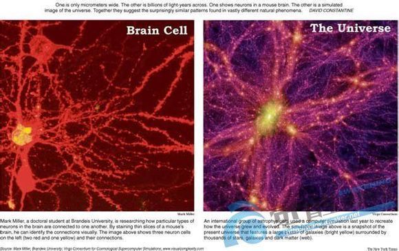 不可思議！宇宙結構和腦細胞驚人相似
