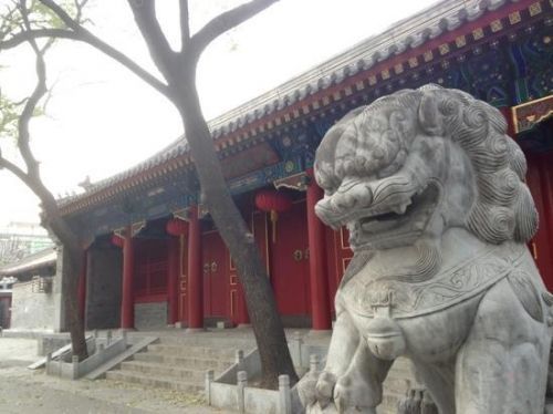 谁是铁帽子王？(图)