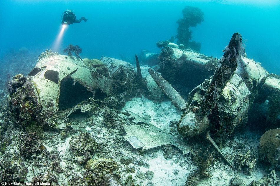 世界最大海底墓地 ：近300架日軍艦機葬身於此