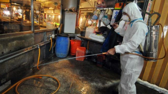 爆发禽流感 台湾养鸡场12万只鸡被扑杀