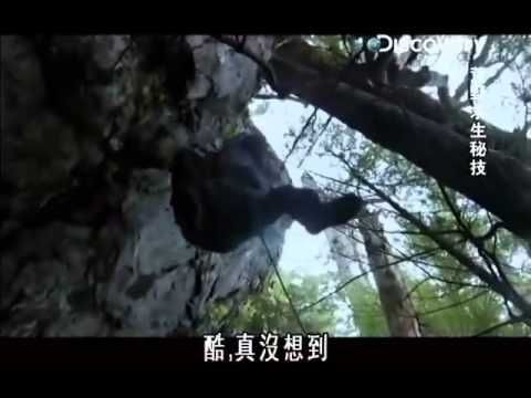 S06E06荒野求生秘技：阿拉斯加
