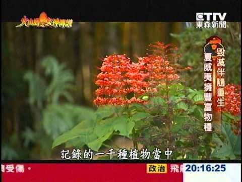 火山島之女神傳說-聚焦夏威夷