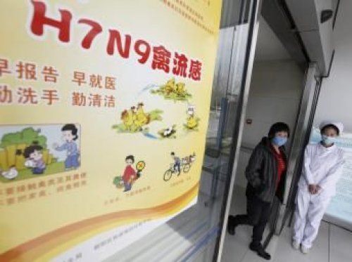 江苏再现H7N9禽流感 2人死亡(图)