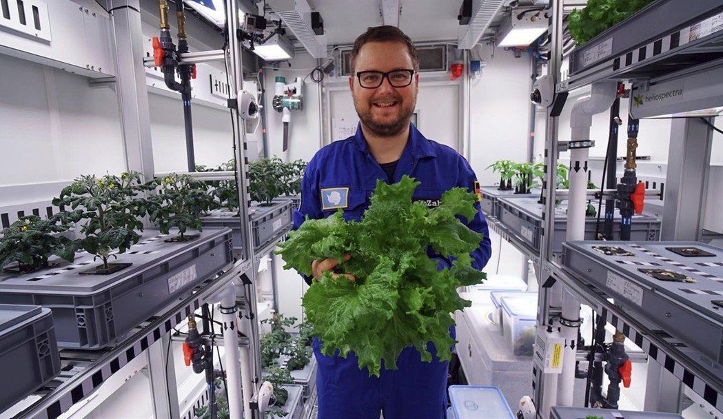 南極科學家採收首批無日曬蔬菜 未來應用在火星