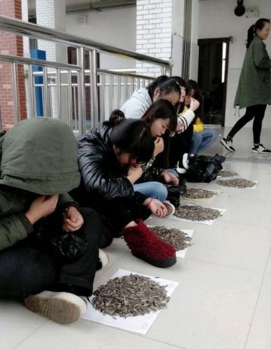 老师是如何惩罚嗑瓜子学生？(组图)