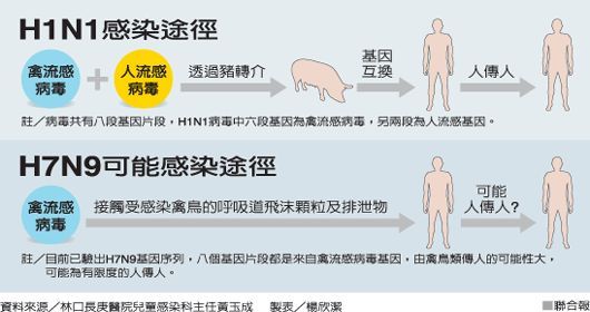 广东再爆H7N9禽流感 东莞女病危(图)