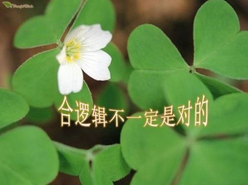 合逻辑不一定是对的(组图)