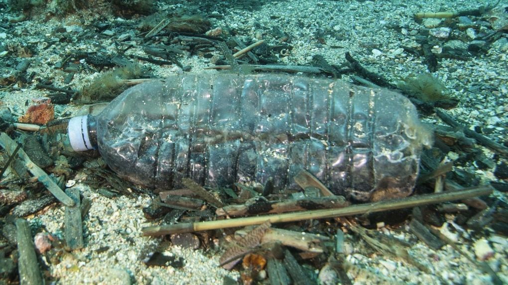 海底微塑膠危機：科學家估達1,400萬噸