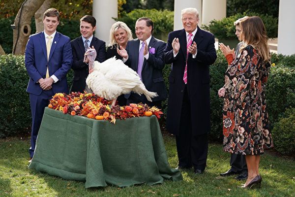 感恩節前夕  川普首次白宮赦免火雞