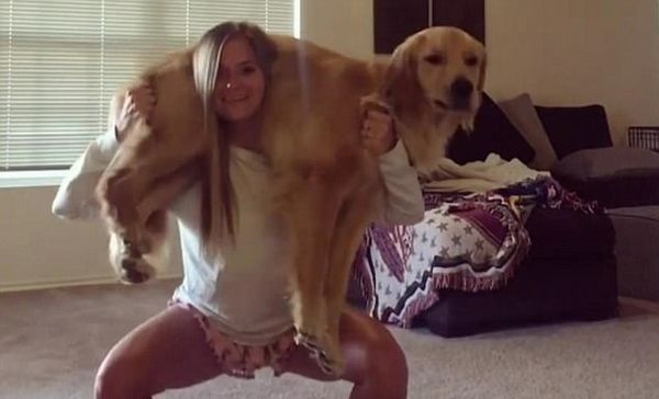 美國女子肩扛近32公斤金毛獵犬深蹲健身