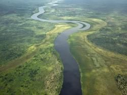 烏干達主辦非洲首個保護和旅遊投資論壇