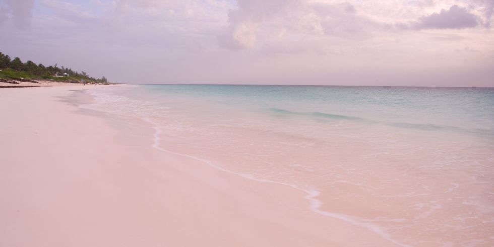 巴哈馬特有的粉紅色沙灘
