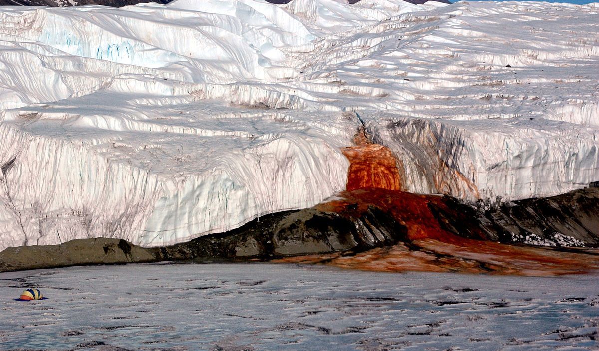 南極冰川血瀑布成因  科學家找到了