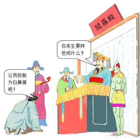 【台湾民间故事】白鼻猫的由来