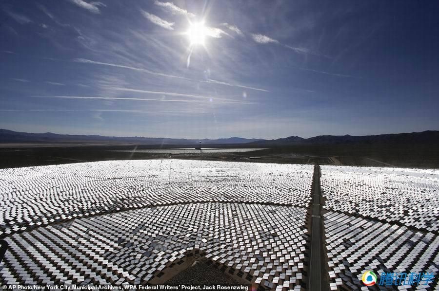 世界最大的太陽能發電站成鳥類死亡陷阱(組圖)