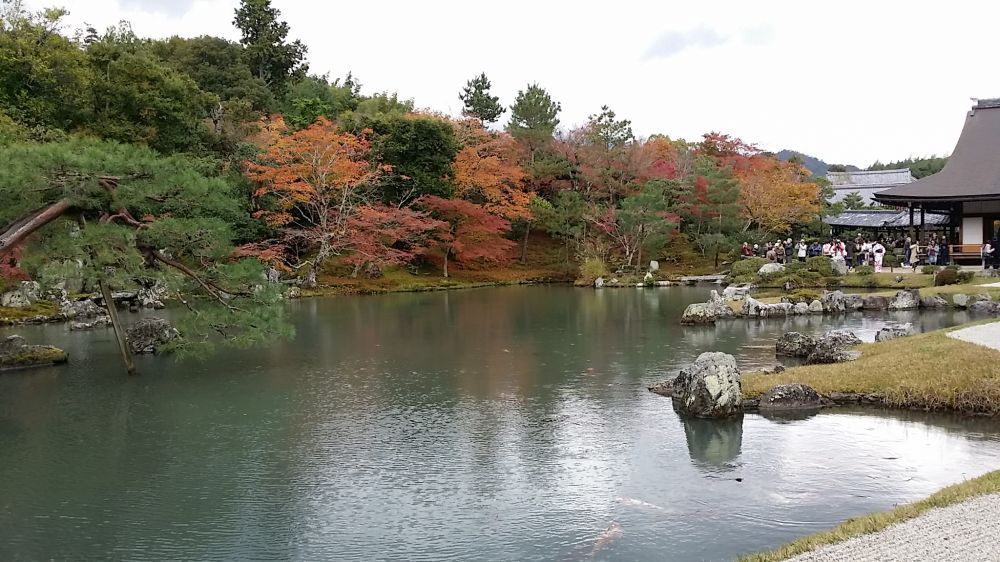 京都秋色之靜美