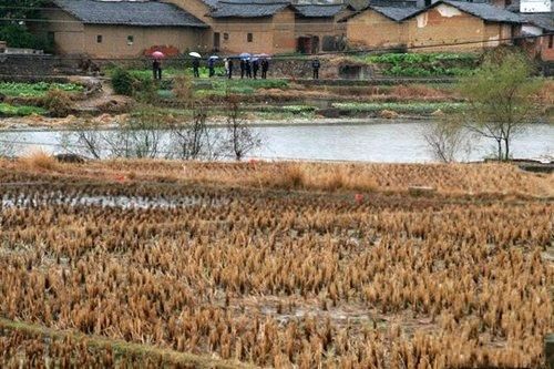 江西会昌突现地陷 村民连夜转移(图)