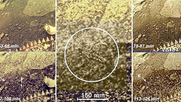 俄羅斯解密金星神秘影像顯示:有外星生命存在？