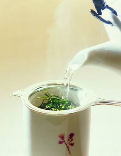 茶专家心经：茶与水 水为茶之母(图)