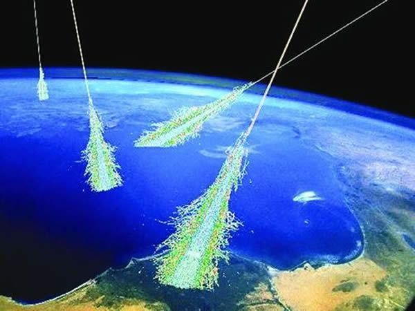 古老雪松林記錄千年前宇宙神秘事件(圖)