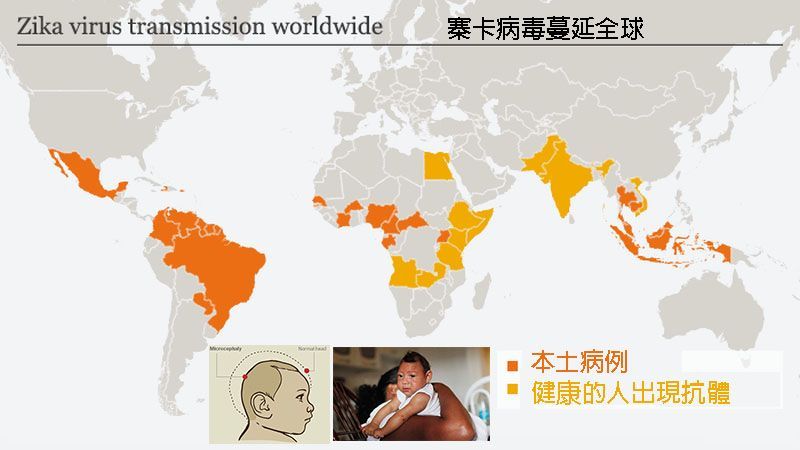 世衛組織發佈全球寨卡警報