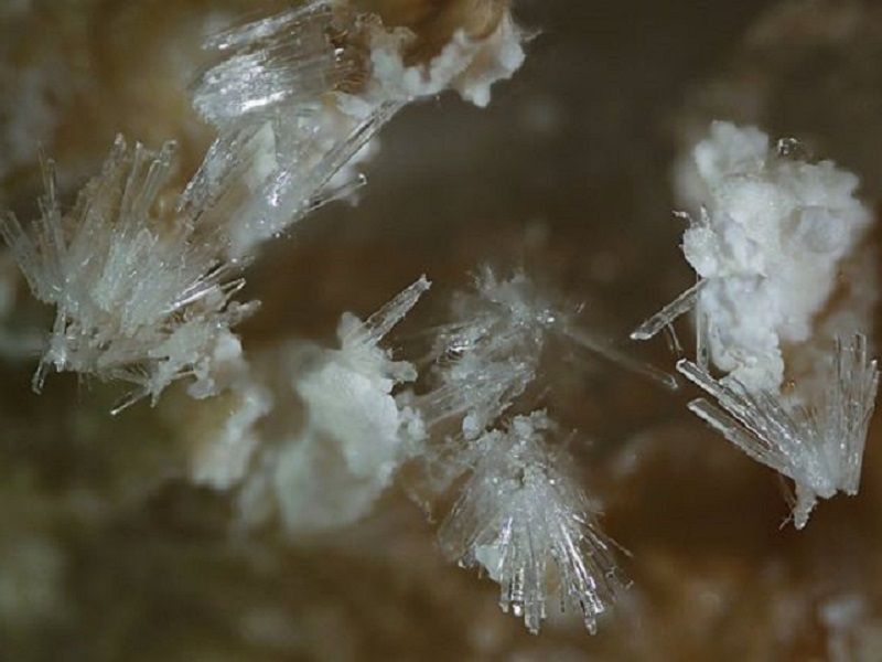 地球豐富礦物質讓地球更有生命承載力