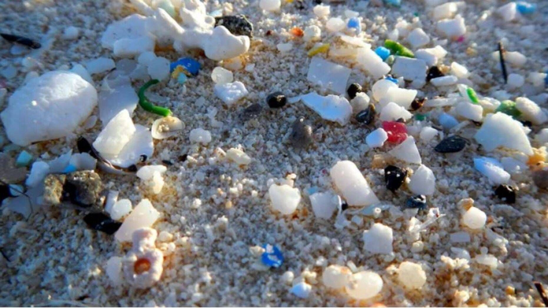海洋塑料離你有多遠？