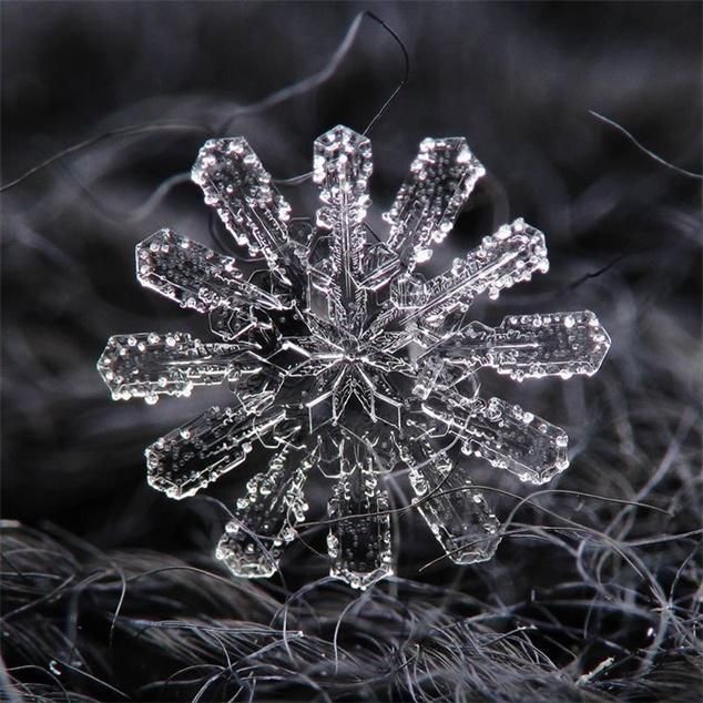 微距照片拍攝，讓你看到最驚艷的雪花